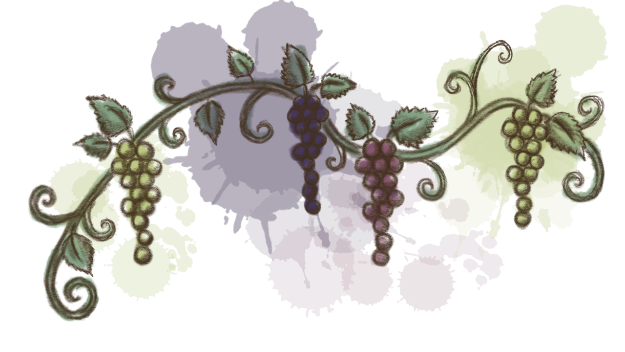 a curling vine with grape clusters, used as a page divider.