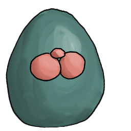 a clay bean with a little snoot