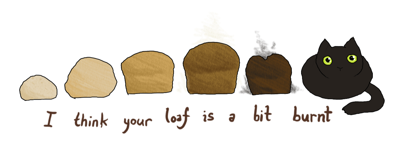 Several loaves of bread, as if in a timeline; dough, proofed dough, lightly baked, perfectly baked and steaming, burnt and crispy... and a black cat with green eyes.  Captioned "I think your loaf is a bit burnt"