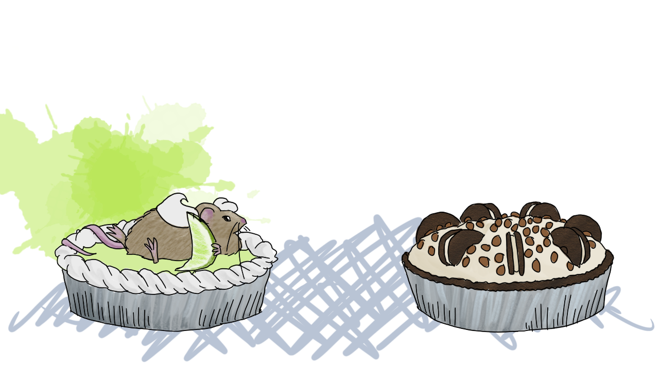 on its back, with a well-chewed-out lime peel, the spherical mouse has noticed a cookies and cream pie to the right